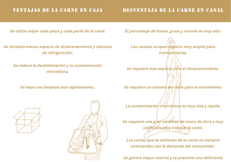 Ventajas y desventajas de la carne en caja y de canal