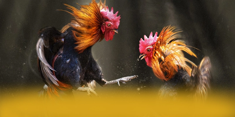 W88 - Thương hiệu đang làm mưa làm gió hiện nay – Trải nghiệm W88 W88 - Thương hiệu đang làm mưa làm gió hiện nay – Trải nghiệm W88