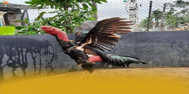 W88 – Thương hiệu được yêu thích nhất, khẳng định vị thế hàng đầu tại Việt Nam. W88 – Thương hiệu được yêu thích nhất, khẳng định vị thế hàng đầu tại Việt Nam.