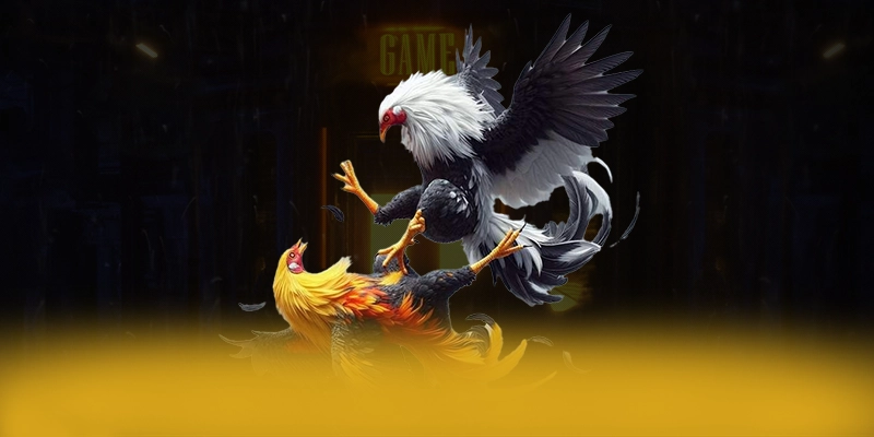 W88 - Cổng game bài hiện đại trong giới game thủ W88 - Cổng game bài hiện đại trong giới game thủ